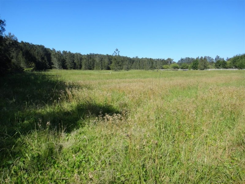 3908 Nelson Bay Road, Bobs Farm NSW 2316