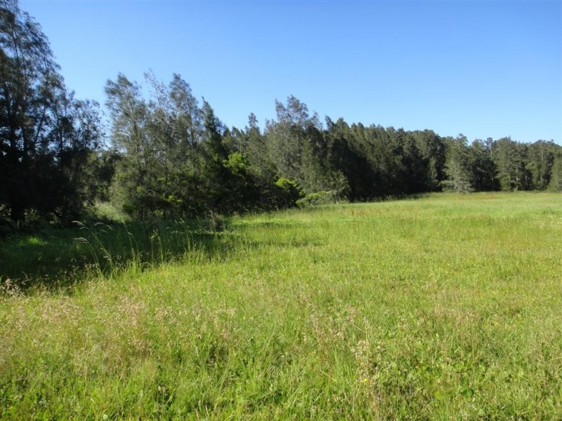 3908 Nelson Bay Road, Bobs Farm NSW 2316