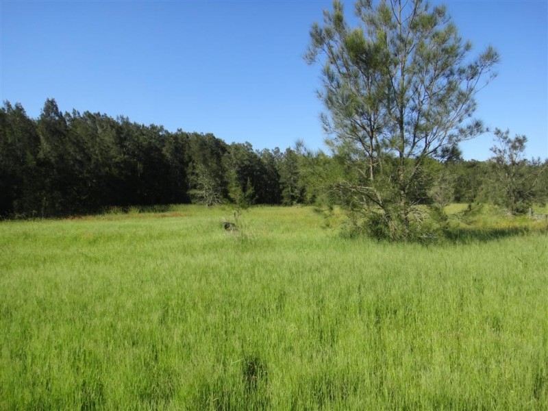 3908 Nelson Bay Road, Bobs Farm NSW 2316