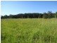 3908 Nelson Bay Road, Bobs Farm NSW 2316