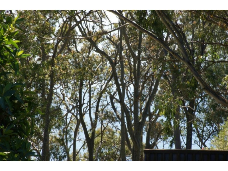 11 Watersleigh Avenue, Mallabula NSW 2319