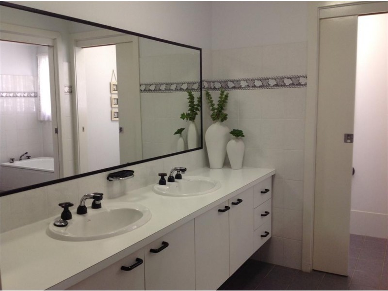 43 Albert Street, Taylors Beach NSW 2316