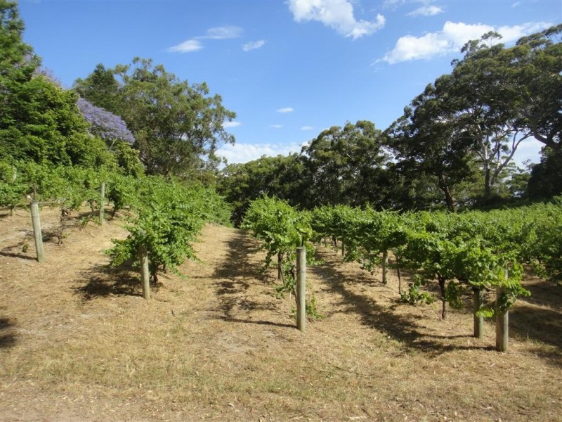 3439 Nelson Bay Road, Bobs Farm NSW 2316