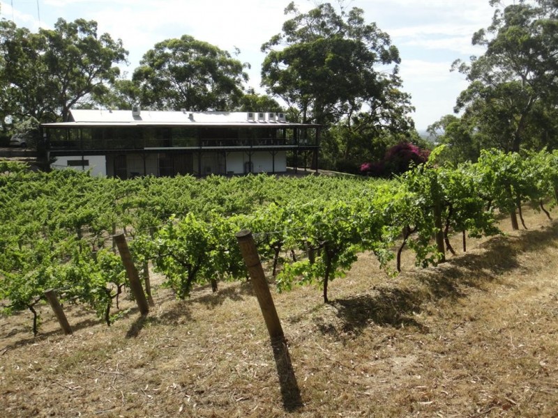 3439 Nelson Bay Road, Bobs Farm NSW 2316