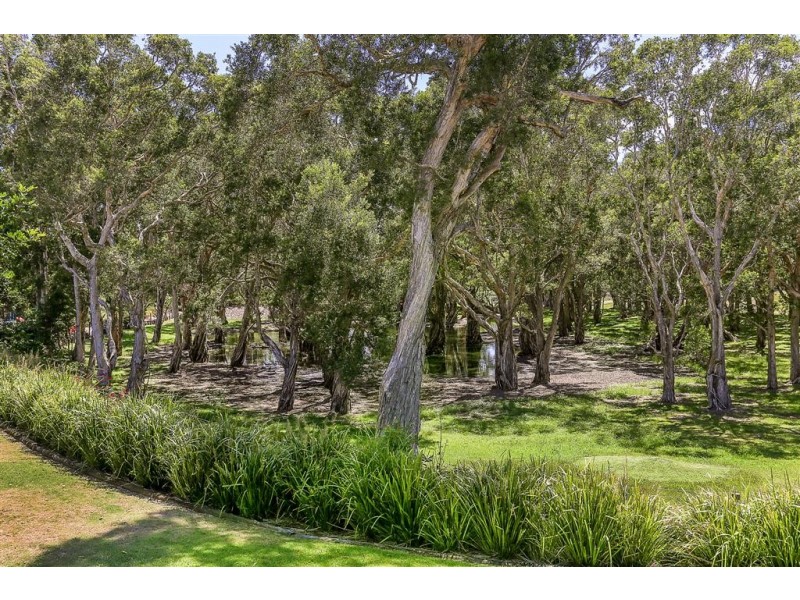 37 Lagoons Circuit, Nelson Bay NSW 2315