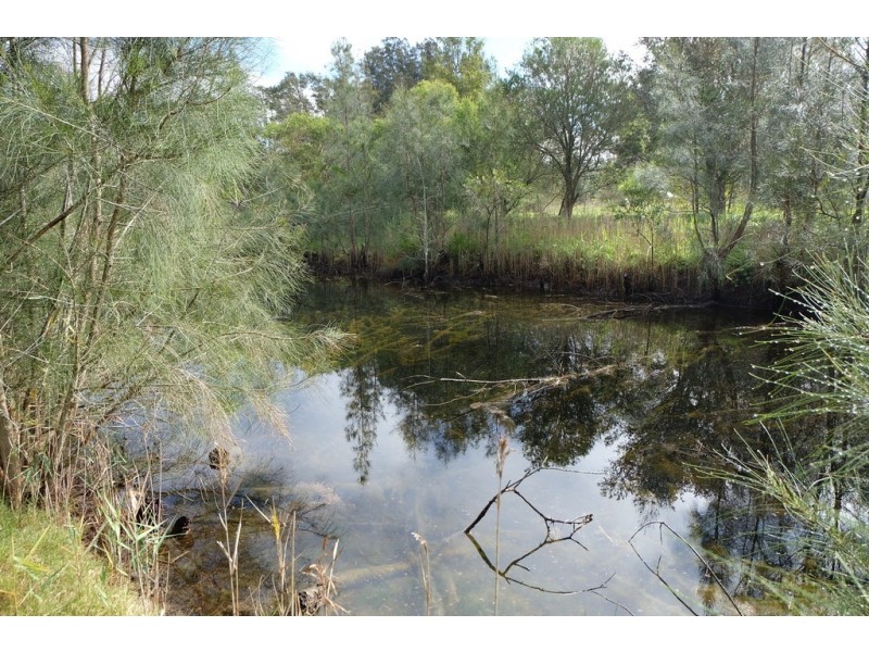 182 Lemon Tree Passage Road, Salt Ash NSW 2318