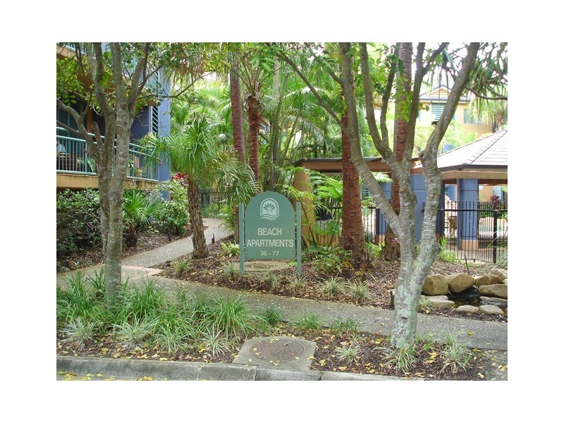 33/955 Gold Coast Highway, Palm Beach QLD 4221