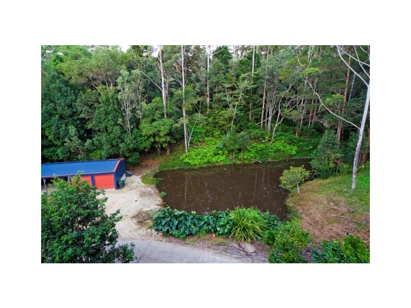 1049 Tallebudgera Creek Road, Tallebudgera Valley QLD 4228