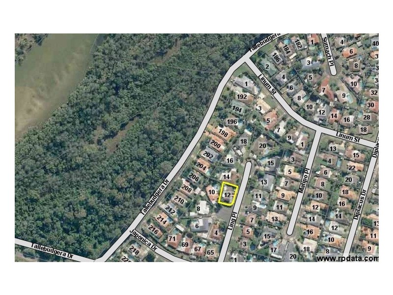 12 Ling Place, Palm Beach QLD 4221