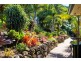 639 Trees Road, Tallebudgera QLD 4228
