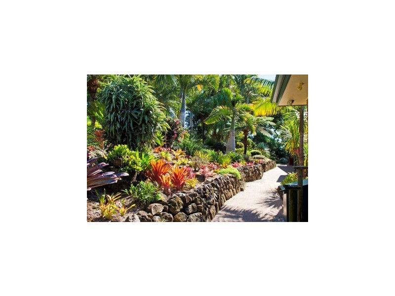 639 Trees Road, Tallebudgera QLD 4228