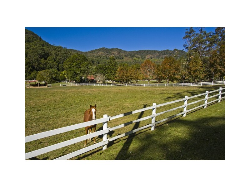 91 Petsch Creek Road, Tallebudgera Valley QLD 4228