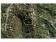 257 Simpsons Road, Currumbin QLD 4223