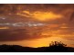 45 Forest Drive, Elanora QLD 4221