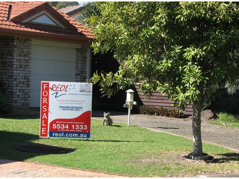 16 Typha Place, Elanora QLD 4221