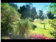268 Tallebudgera Creek Road, Tallebudgera Valley QLD 4228