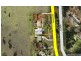 1124 Beechmont Road, Lower Beechmont QLD 4211