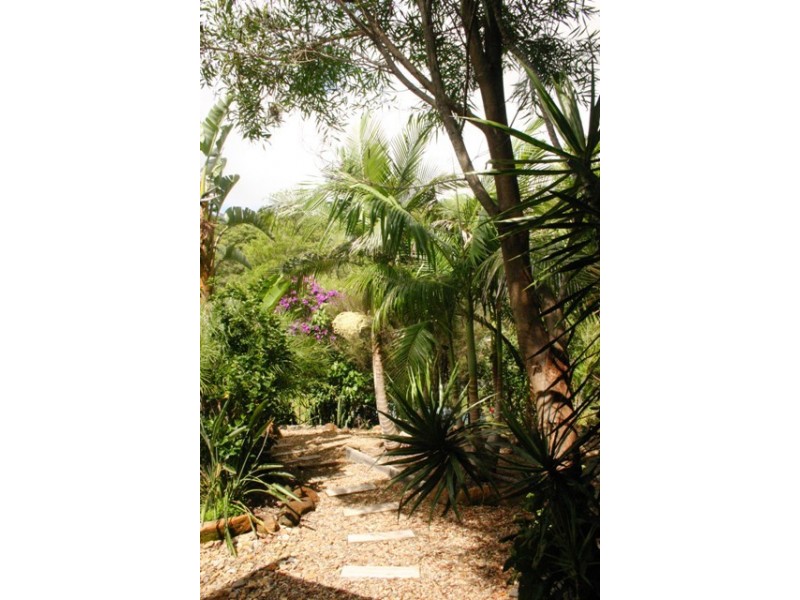 123 Valley Drive, Tallebudgera QLD 4228