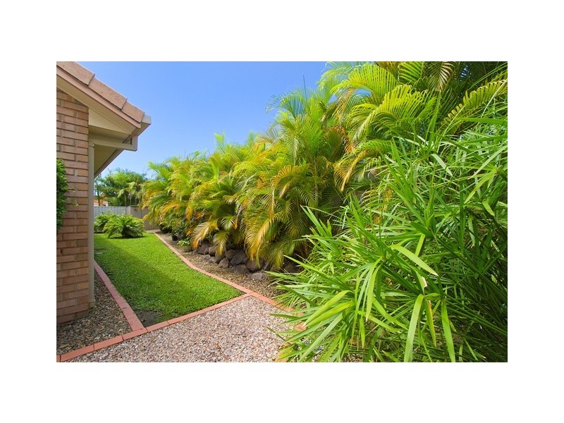 2 Fiddlewood Place, Reedy Creek QLD 4227