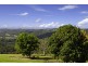 639 Trees Road, Tallebudgera QLD 4228