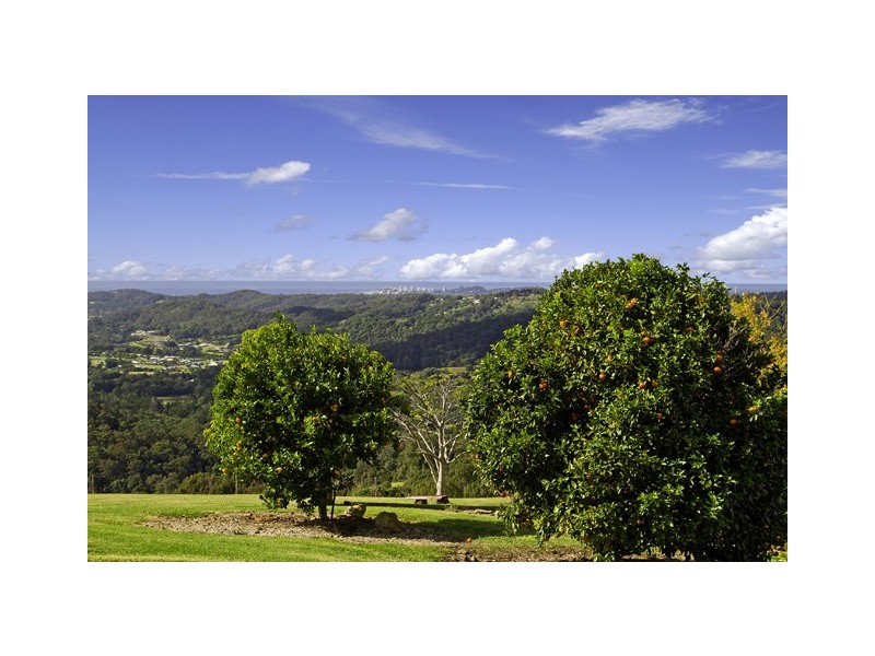 639 Trees Road, Tallebudgera QLD 4228