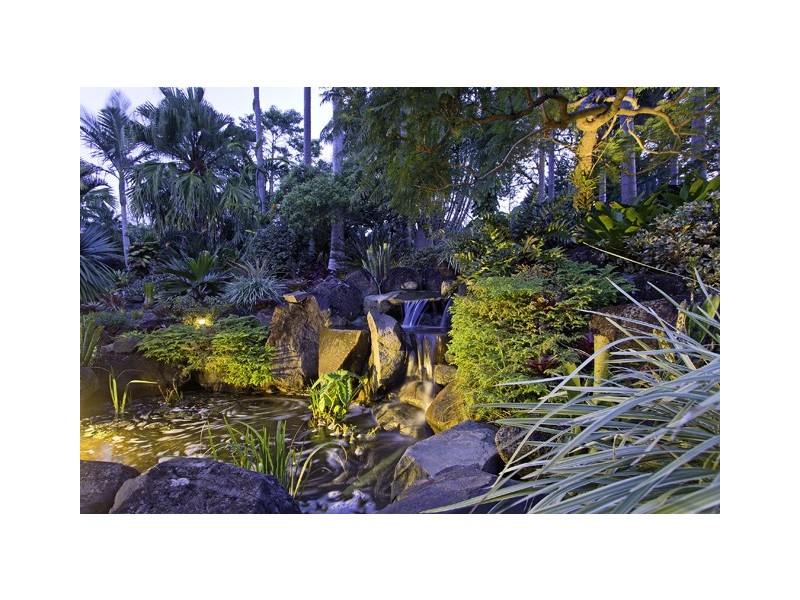 639 Trees Road, Tallebudgera QLD 4228