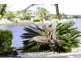 152 Tallebudgera Drive, Palm Beach QLD 4221