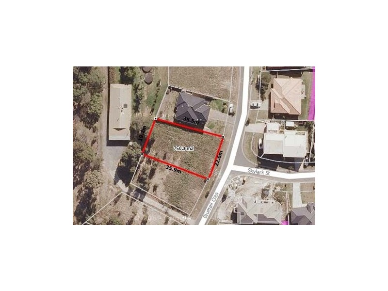 57 Bluetail Crescent, Upper Coomera QLD 4209