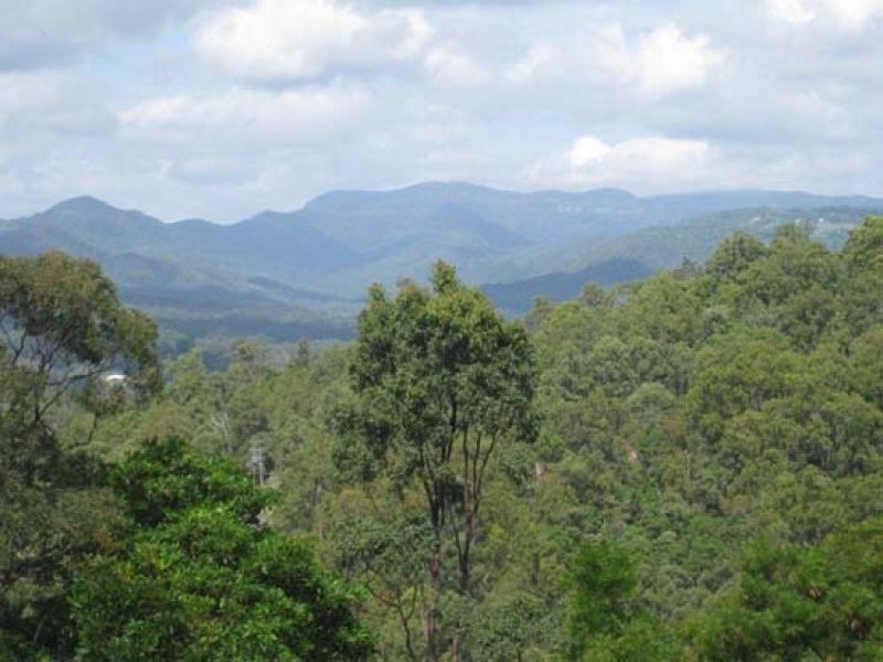 Lot 1 Grandview Terrace B, Tallai QLD 4213