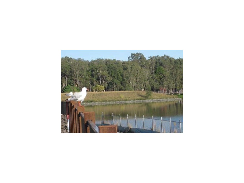 Lot 462 Elizabeth Crescent CAV, Varsity Lakes QLD 4227