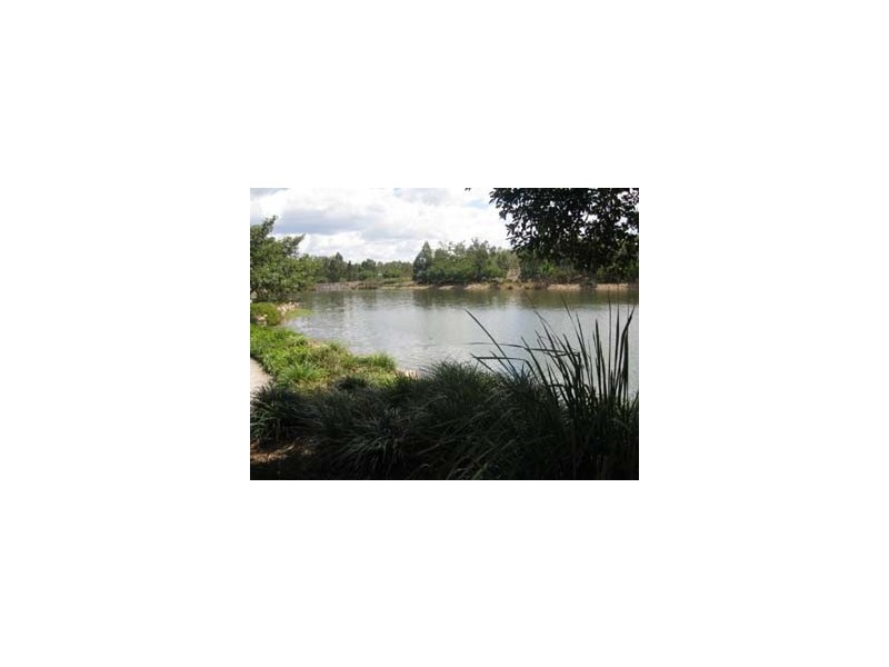 Springfield Lakes QLD 4300