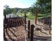 Pacific Pines QLD 4211