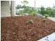 7 Andromeda Dve, Coomera QLD 4209
