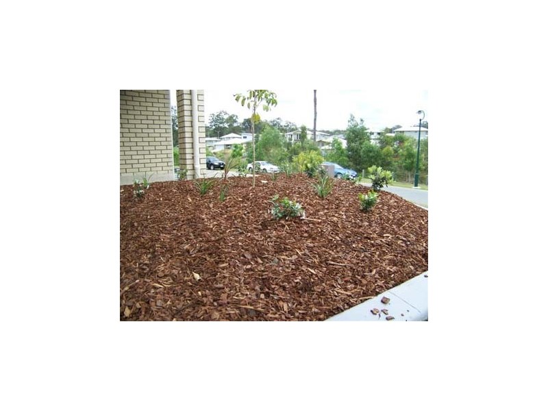 7 Andromeda Dve, Coomera QLD 4209