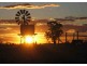 Roma QLD 4455