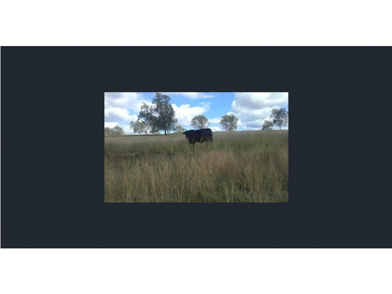 919 Gatton Clifton Road, Ma Ma Creek QLD 4347