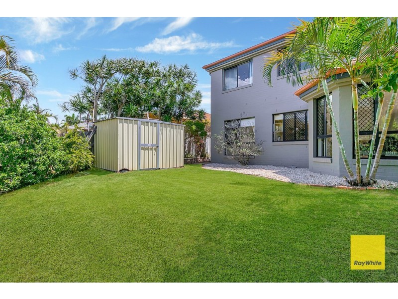 336 Bloomfield Street, Cleveland QLD 4163