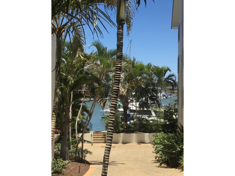 32/10 Esperance Court, Cleveland QLD 4163