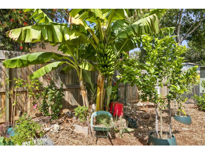 20 Sturgeon Street, Ormiston QLD 4160