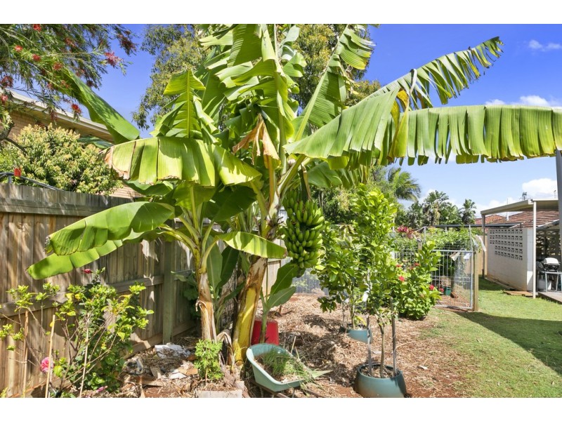 20 Sturgeon Street, Ormiston QLD 4160