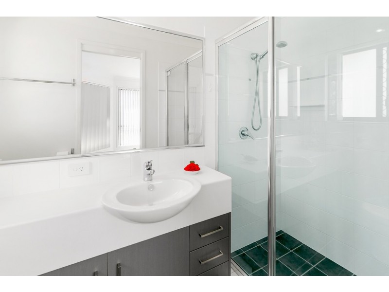 20 Pandanus Street, Birkdale QLD 4159