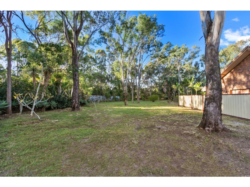 13 Whitehall Avenue, Birkdale QLD 4159