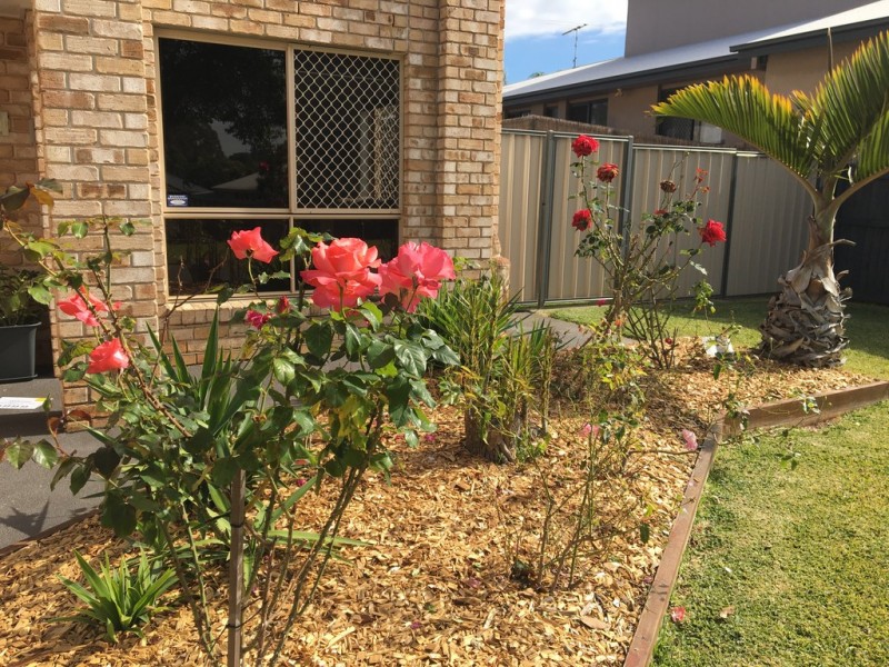 6 Cole Street, Redland Bay QLD 4165