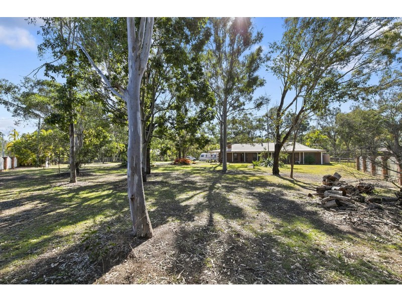 15 Whitehall Avenue, Birkdale QLD 4159