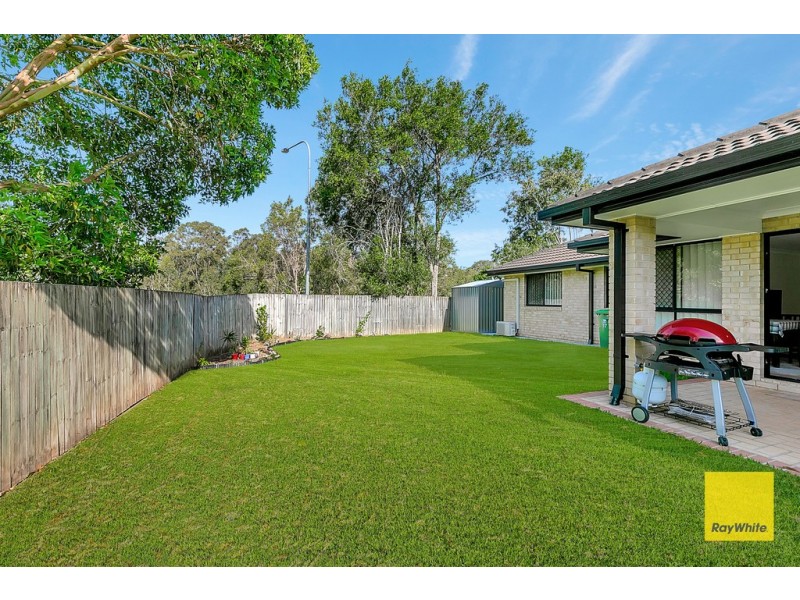 17 Kerder Street, Thornlands QLD 4164