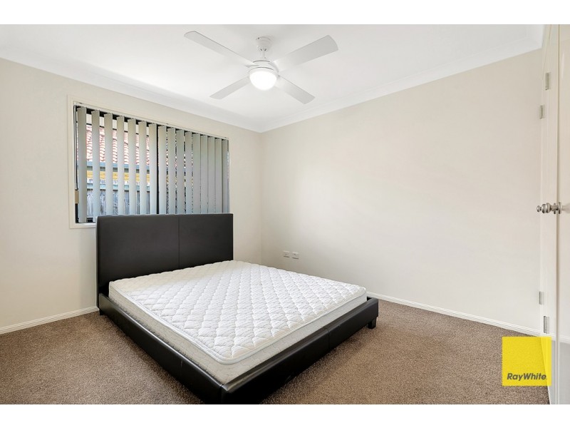 17 Kerder Street, Thornlands QLD 4164