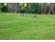 10 Shelduck st, Cleveland QLD 4163