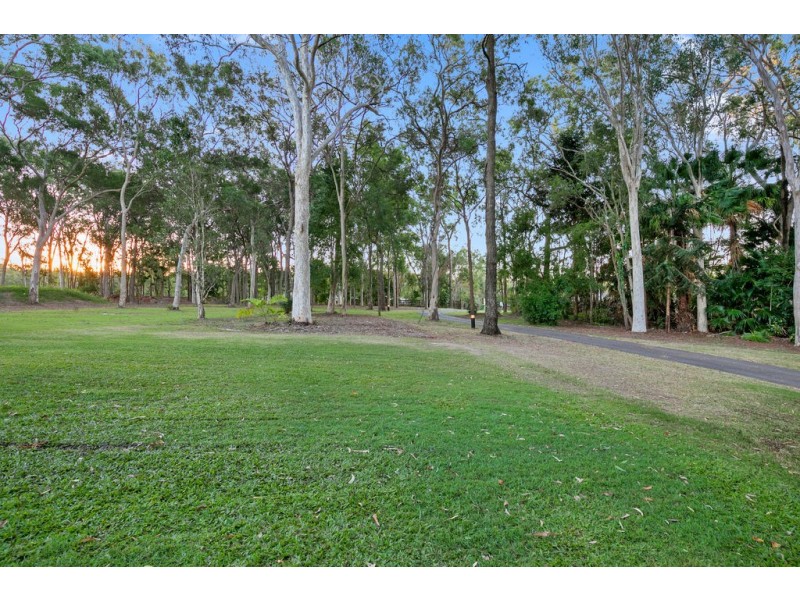 10 Shelduck st, Cleveland QLD 4163