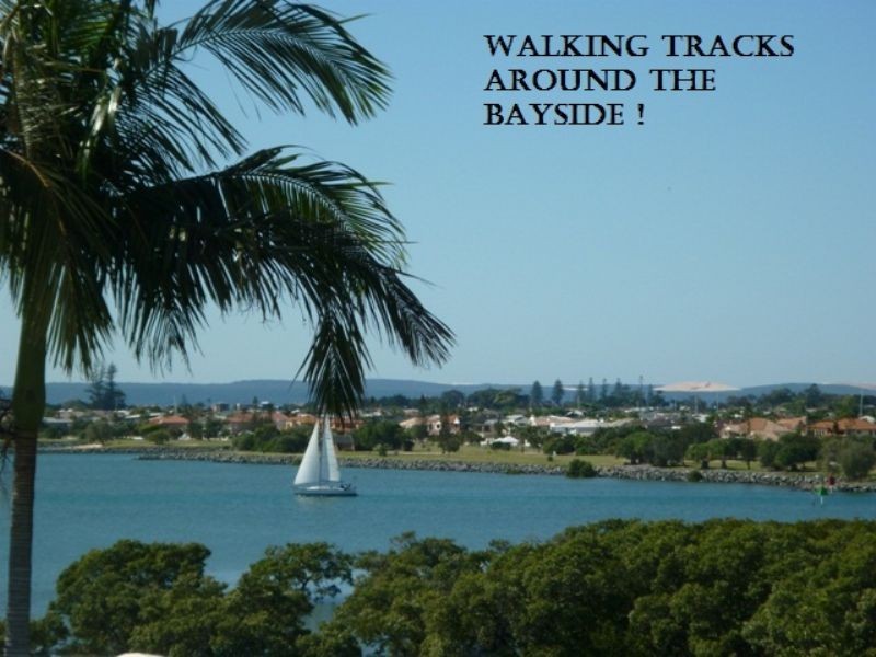 45 Beckwith Street, Ormiston QLD 4160