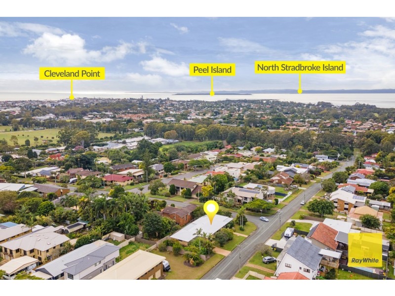 4 Dell Street, Cleveland QLD 4163